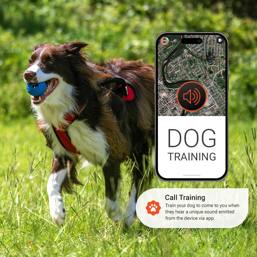 PET Finder 4G Call training