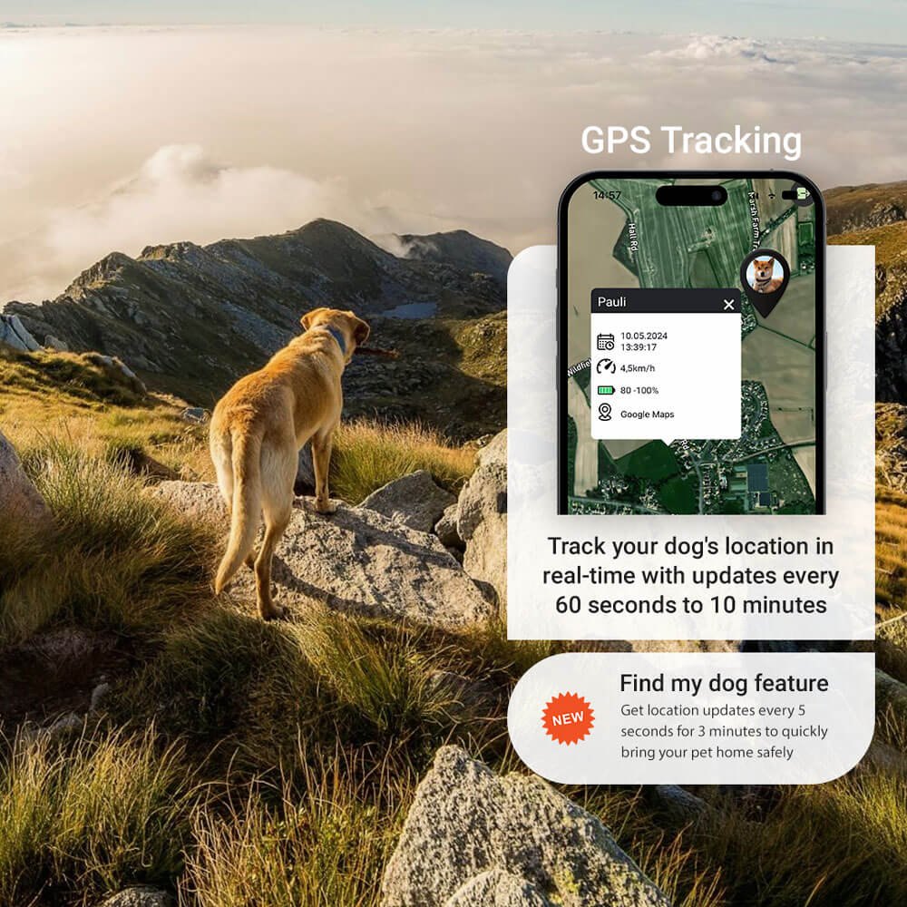 PET Finder 4G_ GPS tracking